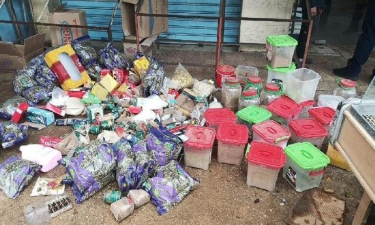 ضبط-مواد-غذائية-منتهية-الصلاحية-في-البيسارية