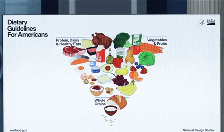 هرم-غذائي-"مقلوب"-في-أميركا.-أستاذة-تغذية:-مربك-ولا-يشرح-حصص-الطعام