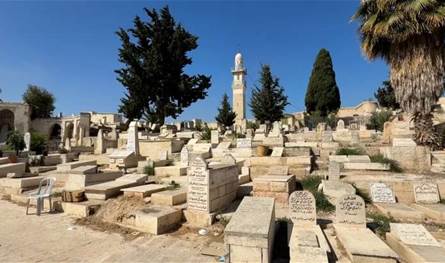 لمدة-36-ساعة.-طفلة-صوّرت-فيلما-بين-المقابر-وإشادات