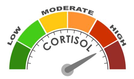 ما-الآثار-الصحية-لارتفاع-هرمون-"الكورتيزول"؟