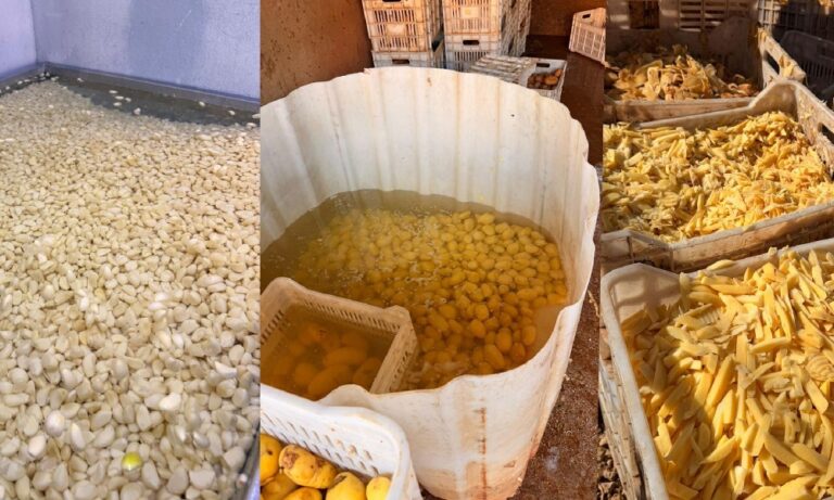 أطنان من الثوم والبطاطا الفاسدة أطنان-من-الثوم-والبطاطا-الفاسدة