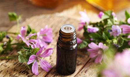 نبات-طبي-يساعد-في-محاربة-سرطان-القولون.-ما-هو؟