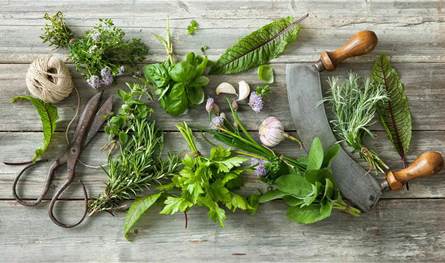 6-أعشاب-شائعة-قد-تساعد-على-تحسين-مستويات-الكوليسترول.-تعرّف-إليها