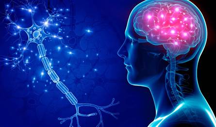 اكتشاف-شبكة-دماغية-جديدة-يغيّر-فهم-مرض-باركنسون-ويفتح-آفاقاً-علاجية-واعدة