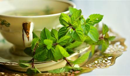 كيف-يساعد-الشاي-الأخضر-على-تقوية-الشعر؟