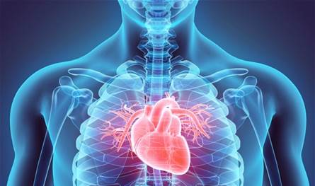 طرق-الوقاية-من-أمراض-القلب-وارتفاع-الضغط