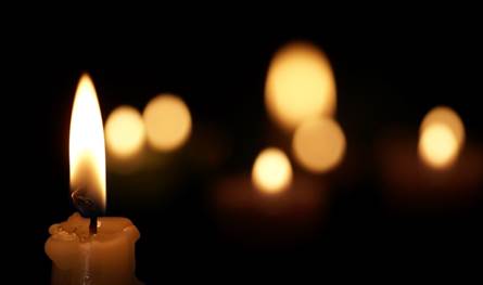 خبر-حزين-جداً.-وفاة-ممثل-تركي-عن-27-عاماً-فقط-جراء-سقوط-شجرة-عليه-(صور)